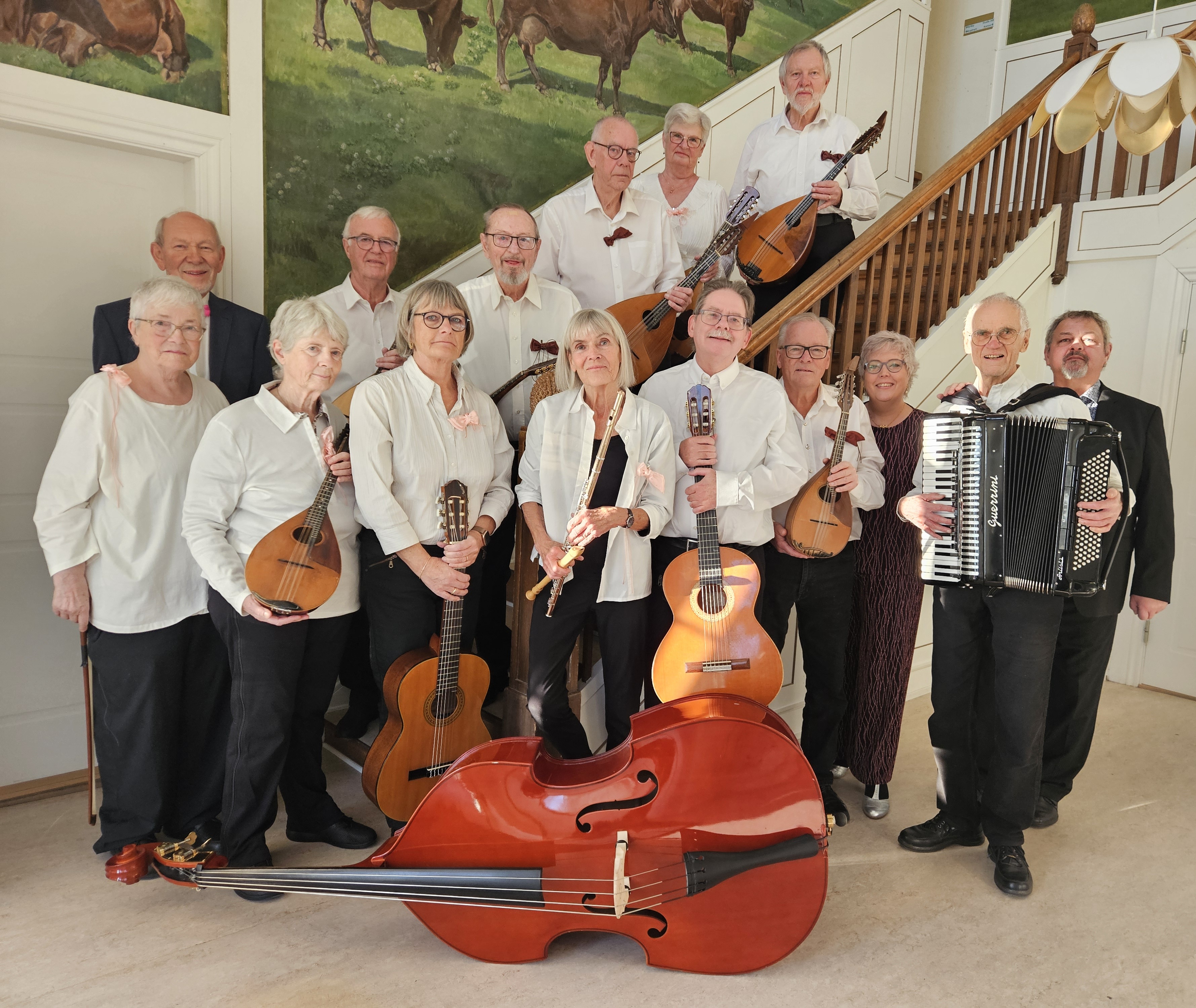 2026 Magiba Med L Og S (1)